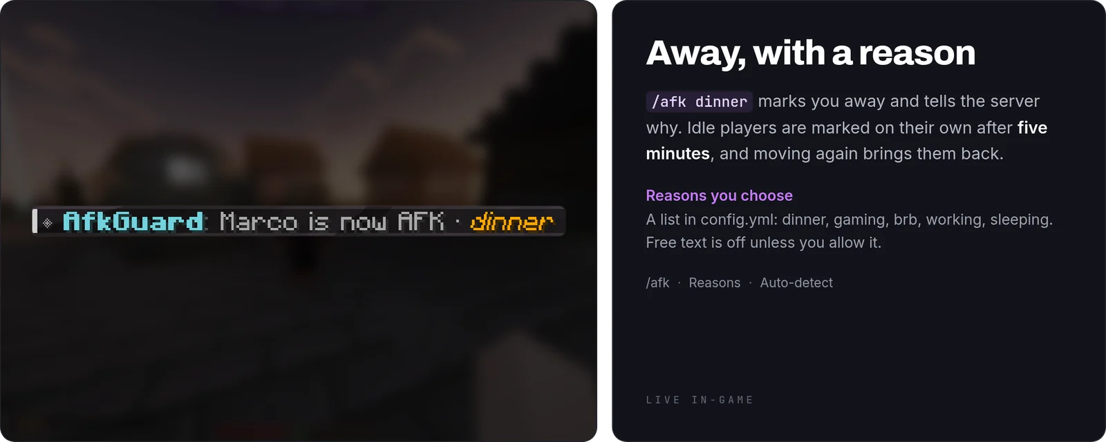 AfkGuard: afk